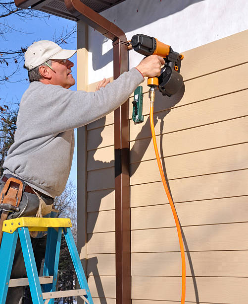 Professional Siding in Wailua Homesteads, HI